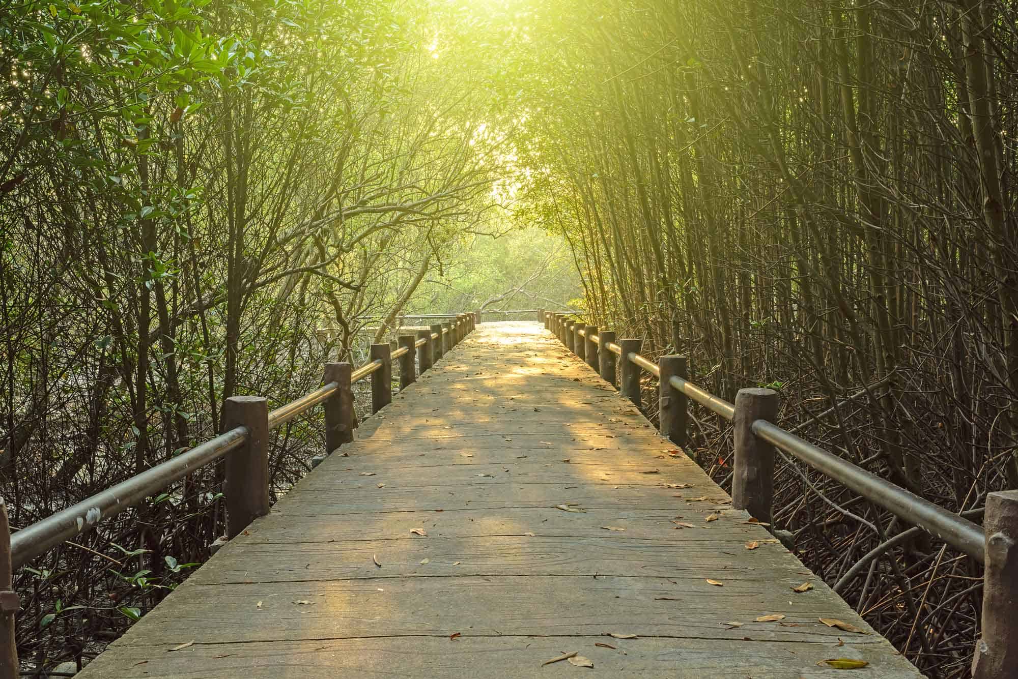 WHERE TO WALK IN PHUKET 5 02407